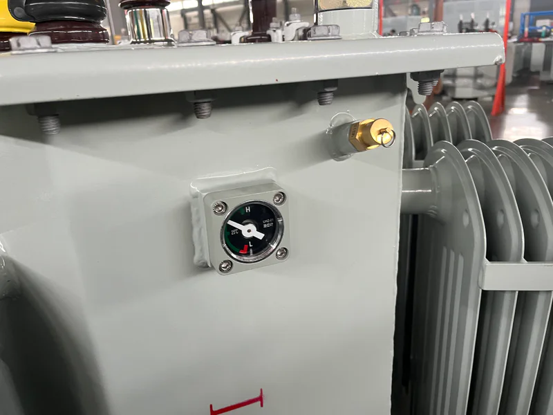 Transformer marshalling and control cabinet enclosure